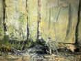 /album/fotogalerie-oleje-2020-2025/4db3a97b-49fc-40e5-9f5b-975e4efbe9b0-jpeg/