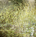 /album/fotogalerie-oleje-2020-2025/5d4513e4-8b87-4024-8b54-5876f0212d88-jpeg/