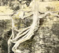 /album/tisky/img-e2809-jpg/