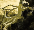 /album/houzevnate-stromy/img-e2813-jpg/